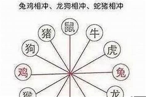 狗三合|属狗和什么属相相冲 生肖狗和什么属相不合